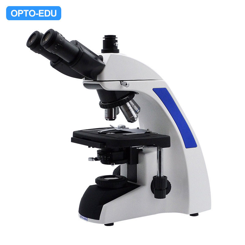 OPTO-EDU A12.1502 WF10x Compound Optical Microscope
