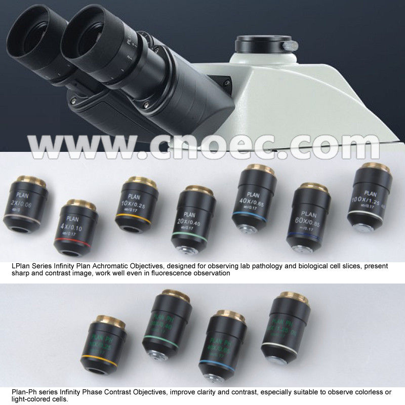 Binocular Head Compound Optical Microscope Infinity Plan Microscopes A12.0907-B