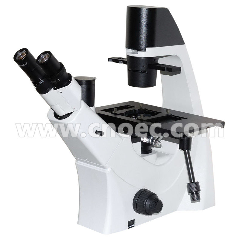 300X Laboratory Phase Contrast Microscope Halogen Lamp , Rohs CE A19.0205