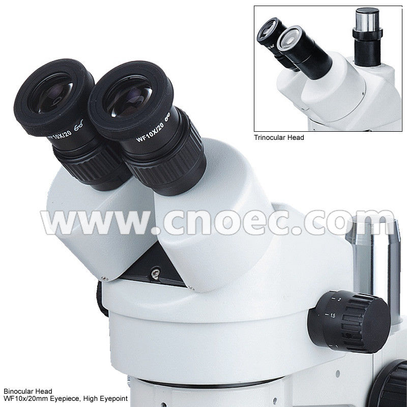 Medical Stereo Optical Microscope Fluorescent Light Microscopes CE A23.0901-ST