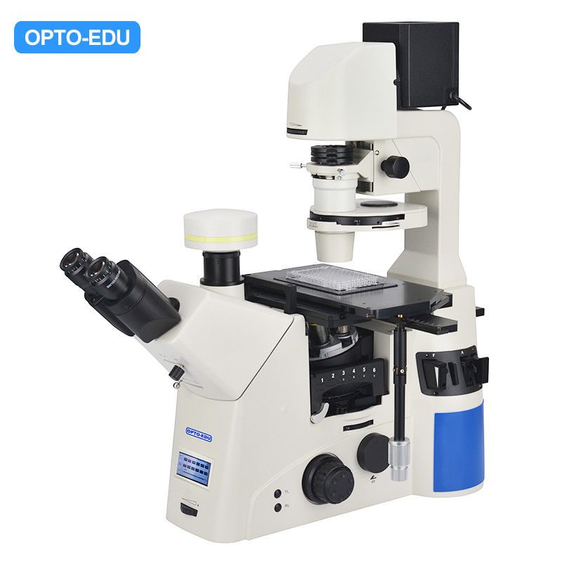 OPTO EDU A14.1097 SW10x Inverted Biological Microscope SW10x/22mm
